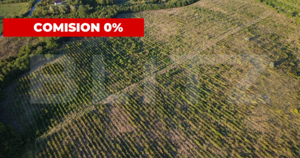 Teren de v&acirc;nzare &ndash; 56.200 mp, cu priveliște superbă spr