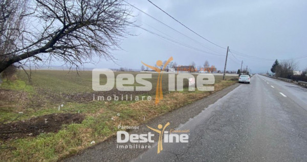 Teren de vanzare Girov- Doina 7200MP 139.999