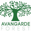 Avangarde Forest