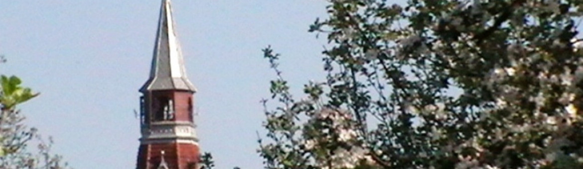 Irimia Magdalena