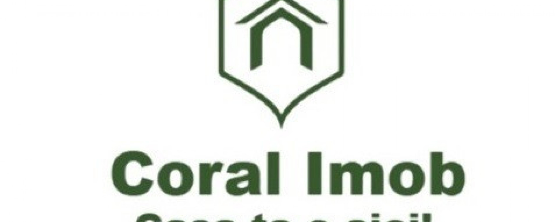 Corina Iuliana Conțiș